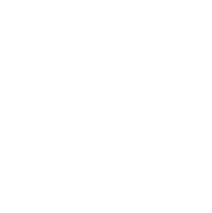 Gym & Casual Wears