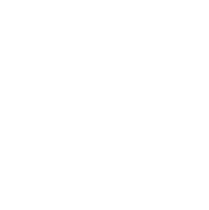 Fighting Gear